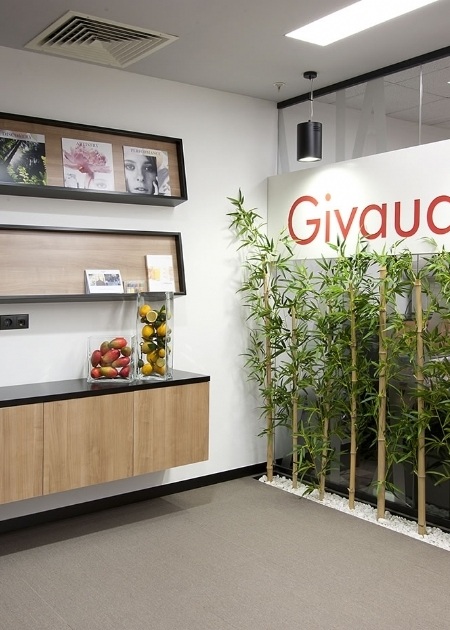 GİVAUDAN